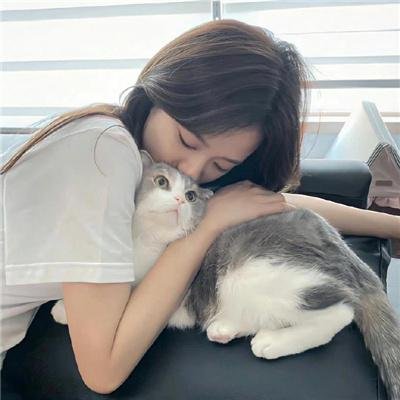 光影之妓
